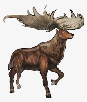 Megaloceros Megaloceros Giganteus - Ark Megaloceros