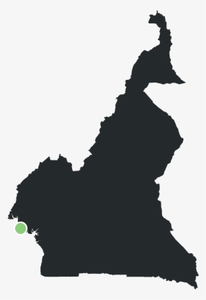 Carte Du Cameroun - Cameroon Map Vector