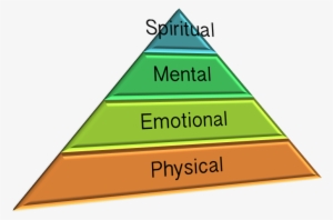 Energy Article Graphic - Juzgados De Primera Instancia