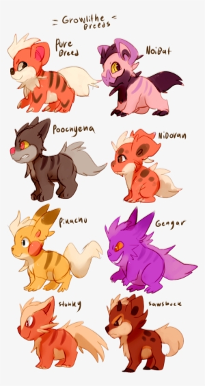 Growlithe Crossbreeding I Really Wish Future Pokemon