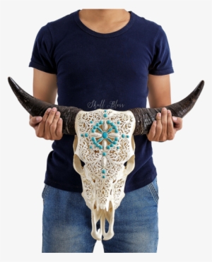 Carved Cow Skull // Xl Horns - Xl Horns
