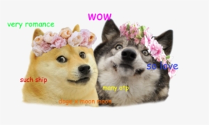 Moon Moon Doge - Moon Moon And Doge