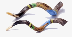 Special Edition Hand Painted - Shofarot