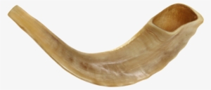 Banner Freeuse Download Png Transparent Images Pluspng - Kosher Ram's Horn Fully Polished Shofar Size 10"-12",
