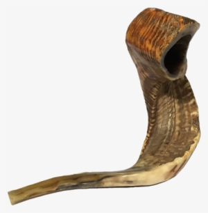 Shofar The Sound Of Covenant - Shofar