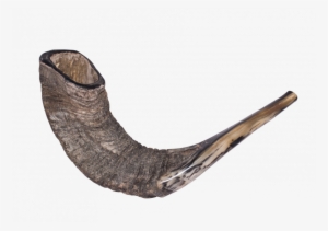 High Holy Days At Congregation Beth Israel - Jewish Chauffeur