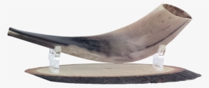 Shofar Wooden With Lucite Stand, Christian, Holy Land, - Shofar