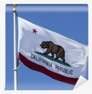 California Flag Is Waving In The Wind With Motion Blur - California State Flag