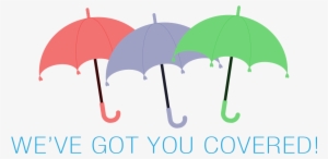 Welcome To Open Enrollment - Broward County, Florida