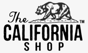 The California Shop - California Palm Tree Drawing