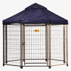 Pet Gazebo® Designer Market Canopy - Advantek Advantek Select Pet Gazebo Colour: Desert