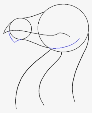 How To Draw Dragon Head - Sketch