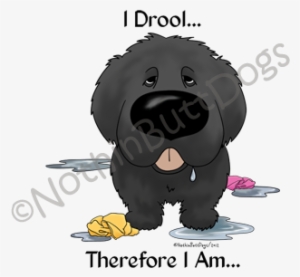 Newfie I Drool - Newfiedroollight Square Sticker 3" X 3"