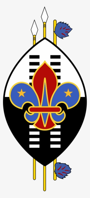 Fileswaziland Boy Scouts Association - Boy Scout Of Niger