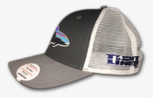 Patagonia Men's Fitz Roy Trout Trucker Hat