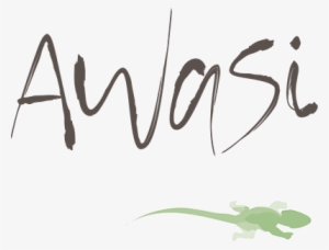 26/05/2018 Patagonia - Awasi Atacama Logo