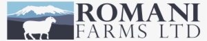 Romani Farms, Coopworth Sheep Breeders And Elite Rams - Coopworth Sheep