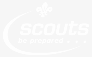 Scouts Corporate Pin Badge