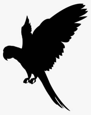 Flying Parrot Silhouette