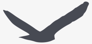 This Free Icons Png Design Of Predatory Bird Silhouette