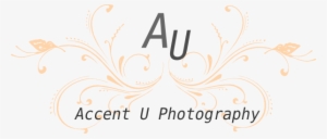 Blue Butterfly Scroll Png Svg Clip Art For Web Download