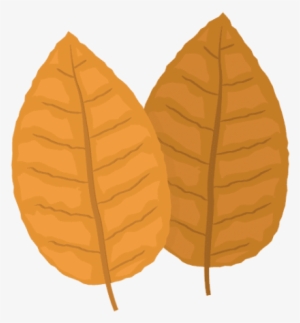 Free Png Tobacco Png Images Transparent - Tobacco Png