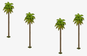 Palmeras - Portable Network Graphics