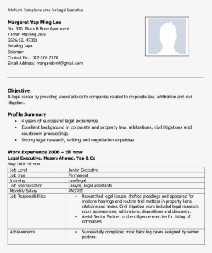 Executive Resume Main Image - Résumé