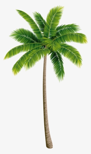 Love, ¿and If We Go From - 椰子 の 木