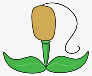 Ast-cattail - Cattail