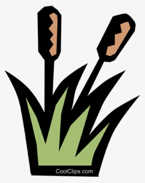 Cattails Royalty Free Vector Clip Art Illustration - Ourboox