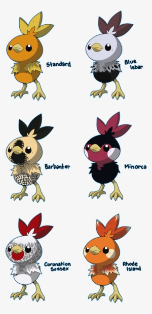 Torchic Variations - Pokemon Torchic Deviantart