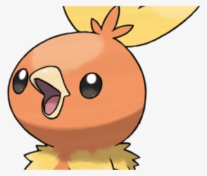 Birb Starters