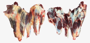 Beef Shin/shank - Shell