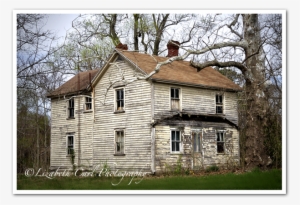 Piles And Piles Of Trash Were Inside - Cottage
