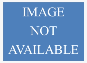 Fdic 040 2010 0 - Swan Lake Boston Ballet