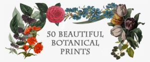 Beautiful Botanical Prints