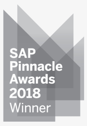 "we Are Incredibly Honoured To Be Selected As This - Sap Pinnacle Awards 2017