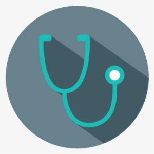 Our Veterinarians At Phoenix Animal Hospital - Stone Ridge