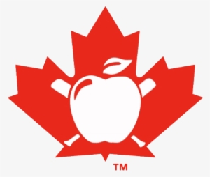 Impact - Canada Flag Maple