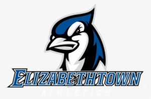Elizabethtown's Comeback Is Not Enough As Blue Jays - Elizabethtown College Blue Jays