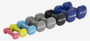 Vinyl Dipped Dumbells - Dumbbell