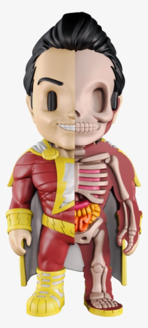 Xxray Shazam - Toypocalypse - Xxray Shazam