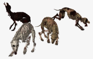 Undead Dogs Xps Mmd Png By Tokami Fuko-dafmtzd - Portable Network Graphics