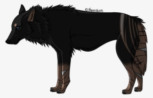 Mataki By Nannikore - Schipperke