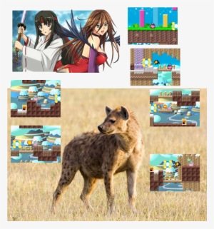 Spotted Hyena Get Reincarnation By Tomoe Vs Nyx 20181008 - Hyena