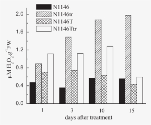 The Effect Of Chlorsulfuron On Hydrogen Peroxide Content - Hydrogen Peroxide