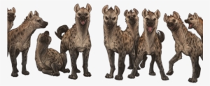 Largehyenaclanday - Hyena Clan