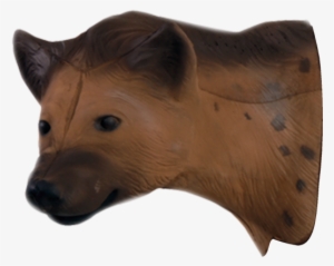African Hyena Head - Hyena