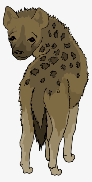 Hyena Png - Kodiak Bear